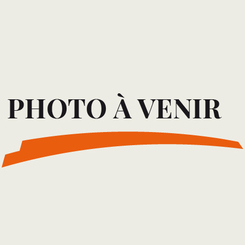 Crevettes aigre et piquante